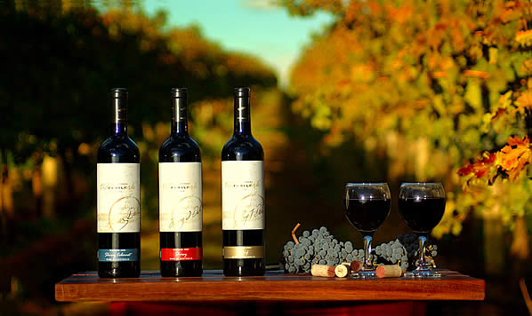 Bottles in the Vines